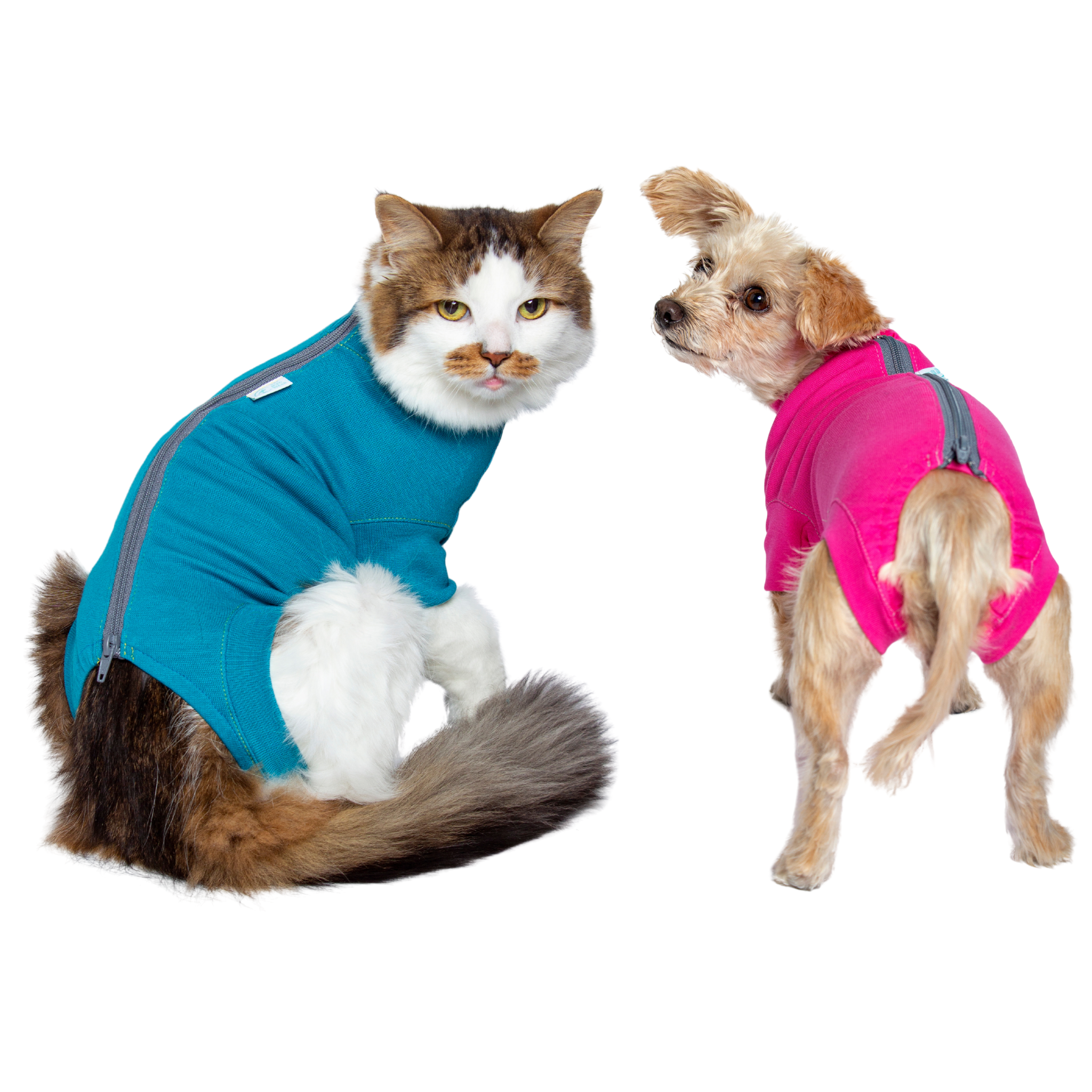 Body Shirts for Dogs, Cats and Rabbits