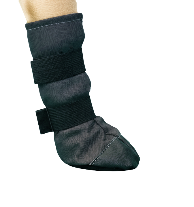 Wound Recovery Boot - My Store