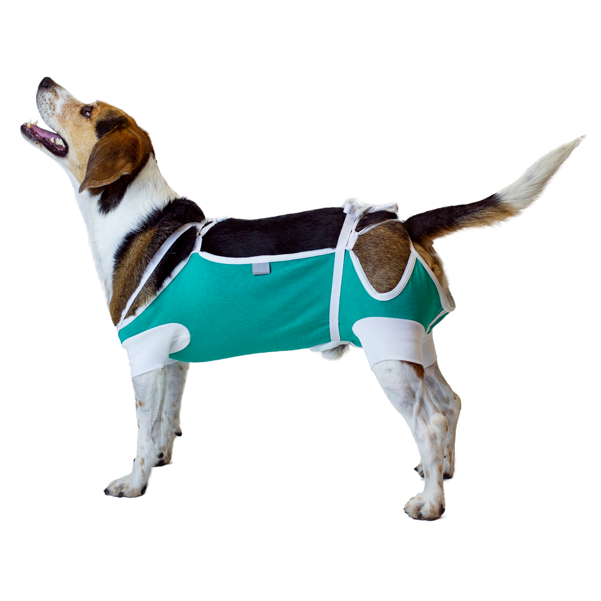 Sputer Shirt (Wholesale) - My Store