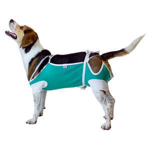 Sputer Shirt (Wholesale) - My Store