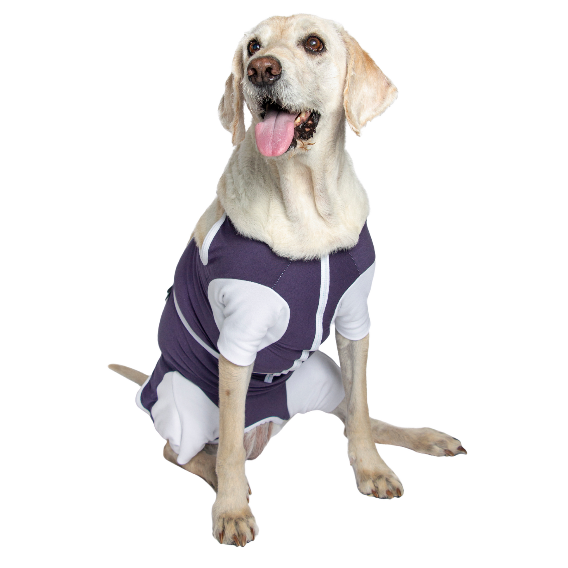 Sputer Shirt (Wholesale) - My Store