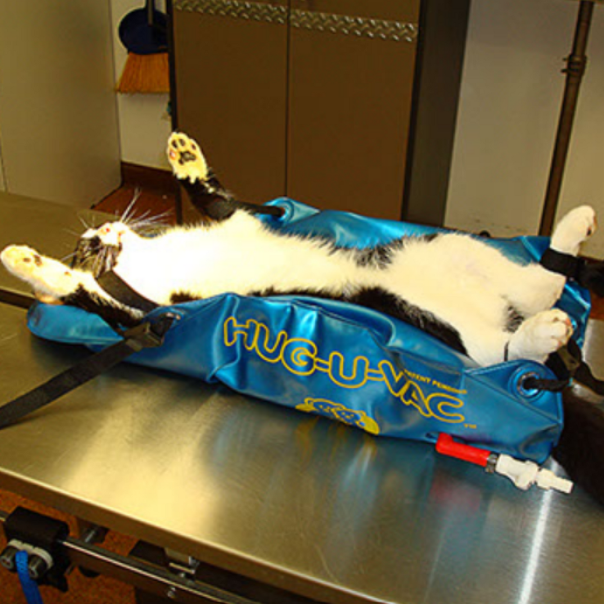 cat positioner veterinary