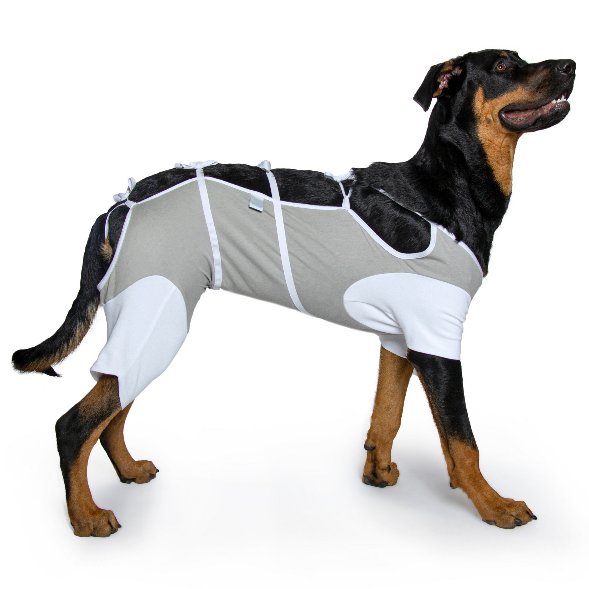 Sputer Shirt (Wholesale) - My Store