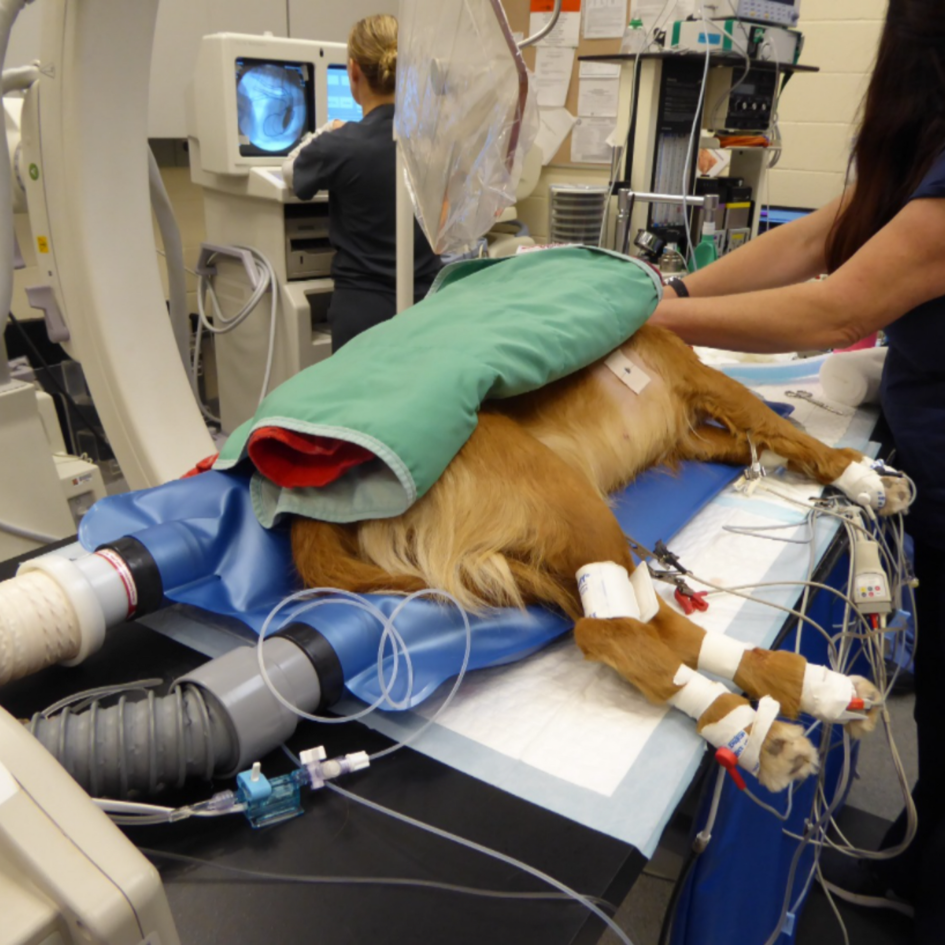 HoverHeat Air Warming Pad - My Store