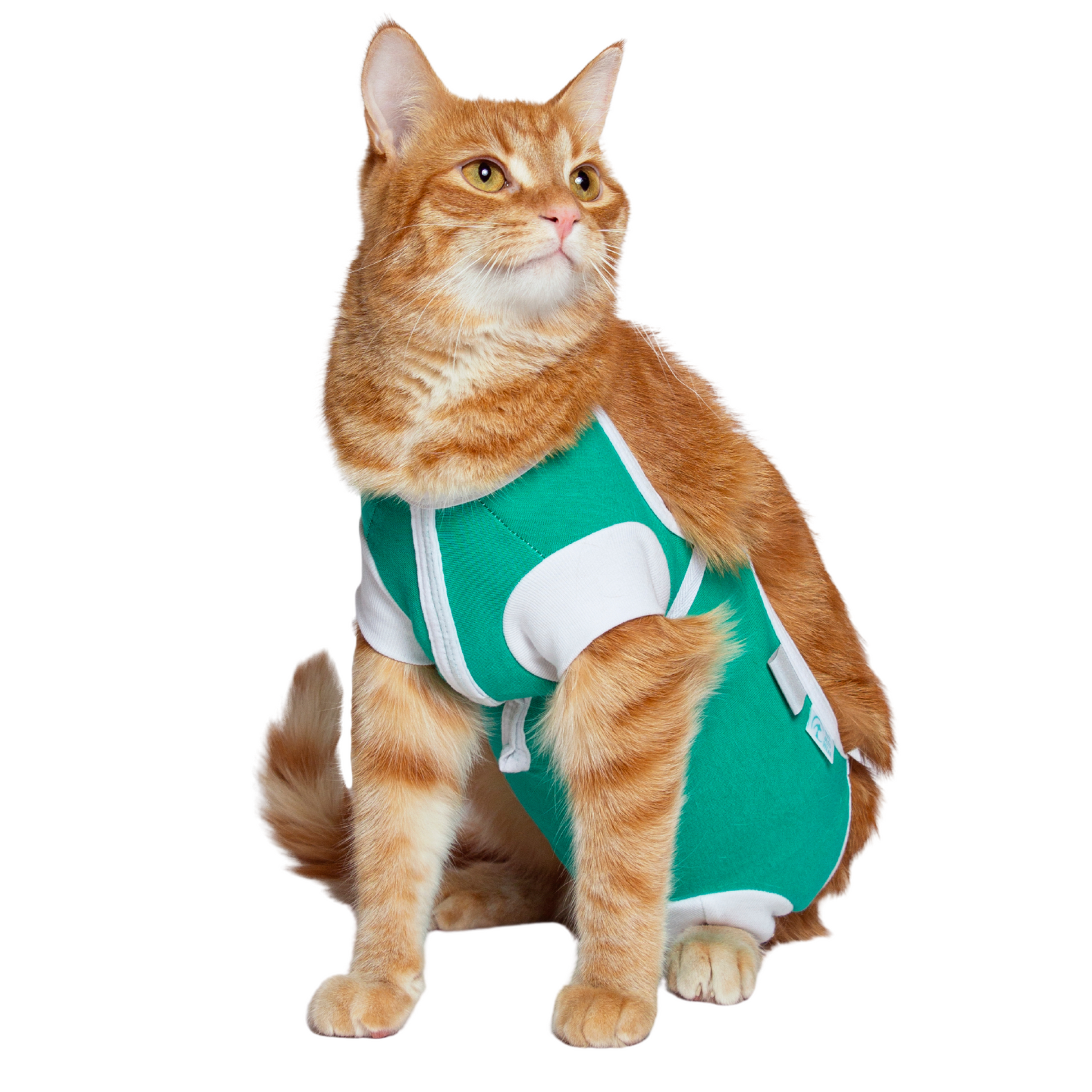 Sputer Shirt - My Store