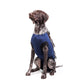 ecollar alternative recovery gown pets dog blue