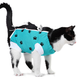 ecollar alternative recovery gown pets cat teal green