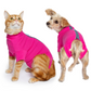 VetMedWear Recovery Suit | After Surgery Pet Clothing for Wound Protection - My Store
