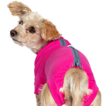 ecollar alternative cat dog vetmedwear