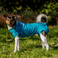 VetMedWear Recovery Suit for male dogs VP - My Store