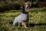 Special - VetMedWear Recovery Suit for male dogs - My Store