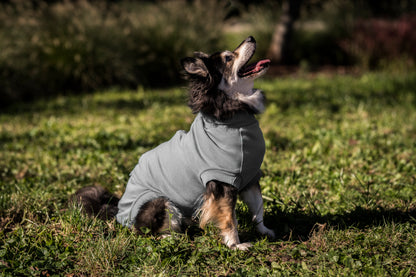 Special - VetMedWear Recovery Suit for male dogs - My Store