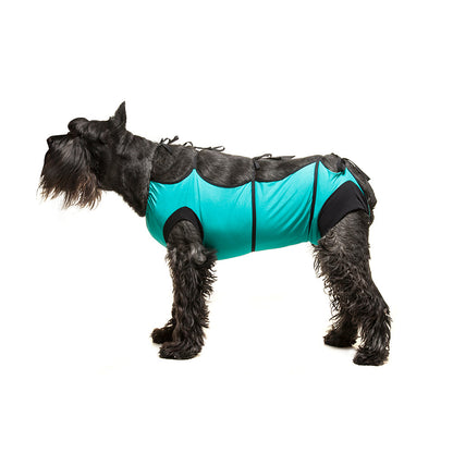 ecollar alternative recovery gown pets dog teal green