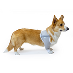 dog shoulder forearm gray sleeve