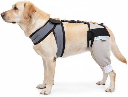 VetMedWear Hip & Thigh Recovery Sleeve with Accesory Vest