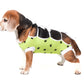 ecollar alternative recovery gown pets dog lime green