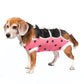 ecollar alternative recovery gown pets dog pink