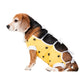 ecollar alternative recovery gown pets dog yellow