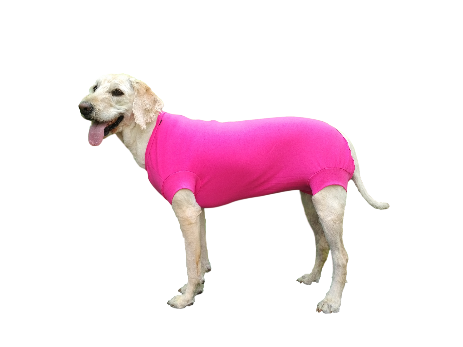 VetMedWear Suit - VetMedWear