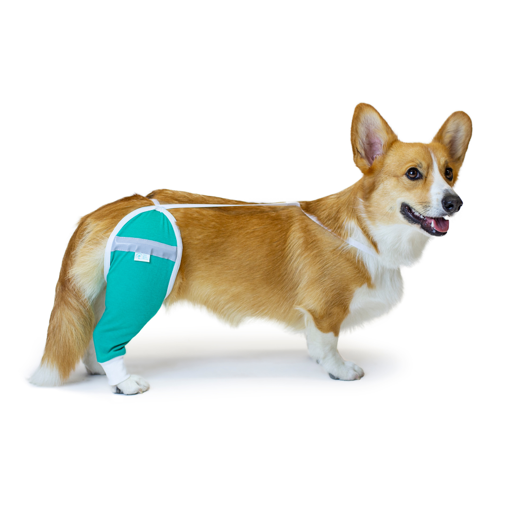 Hip and Thigh Protective Sleeve for Dogs - My Store