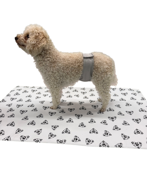 Male dog incontinence belt pack of 2