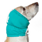 Dog ear infection wrap bandage