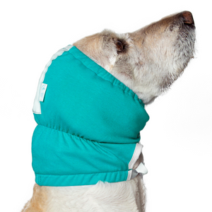 Dog ear infection wrap bandage