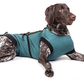 ecollar alternative recovery gown pets dog blue