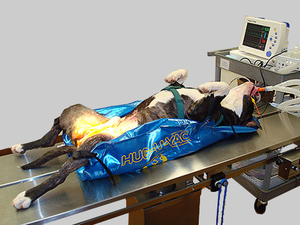 HUG-U-VAC Veterinary Positioner - My Store