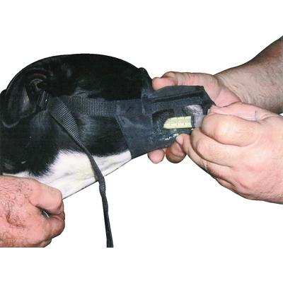 Dental Exam Muzzle for Dogs - VetMedWear